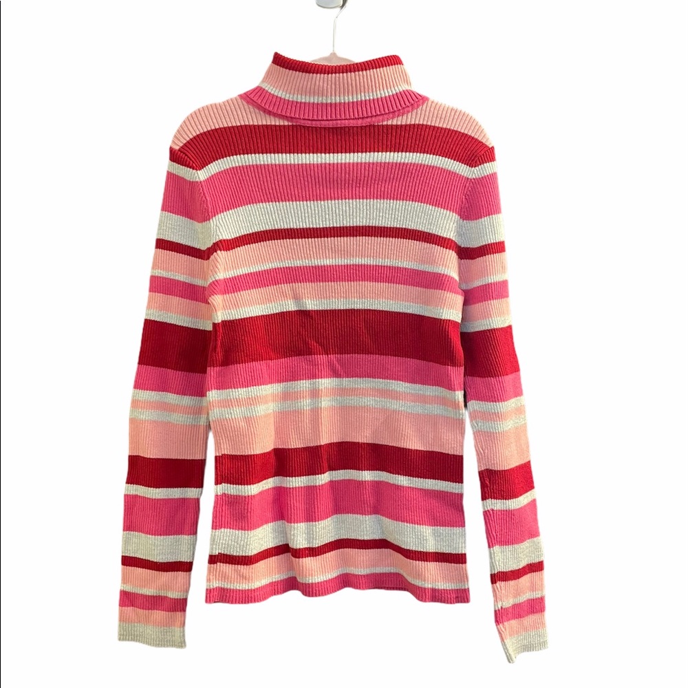 🐠2/$20 greendog Striped Turtleneck Sweater